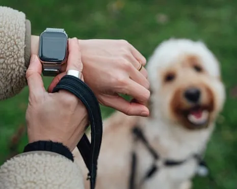 The Truth Concerning Fitness Trackers? Daily Existence Improves Without a Nagging Gadget on Your Wristwear